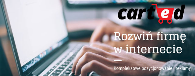 oferta na kompleksowy marketing internetowy w carted - więcej o firmie