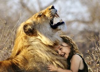 Jakie polecacie gry na telefon dla dziewczyn?