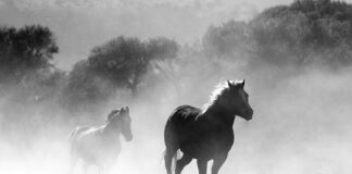 Co to jest Smoke test?