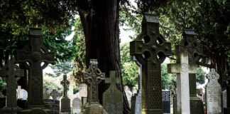 Co zamiast póki co?