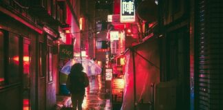 W jakim języku programuje się roboty?