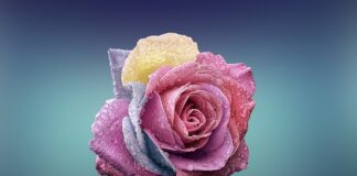 Czym się różni Zbycie od sprzedaży?