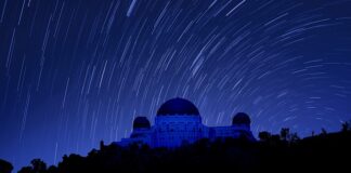 Czy Adobe Animate jest za darmo?