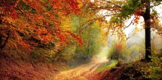 Co to znaczy grać na spadki?