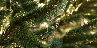 Czym jest potrzeba klienta?