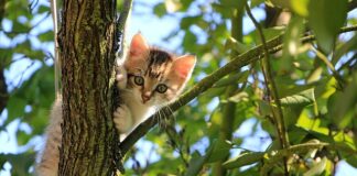 Jak stać się ciekawym rozmówcą?