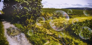 Czy warto uczyć się Blendera?