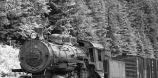 Jakie gry PC dla 10 latka?