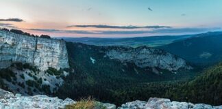 Na co wydać pierwsze pieniądze?