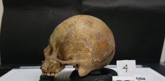 Jak powstała antropologia?