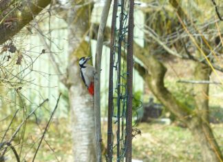 Jakie są dziedziny filozofii?
