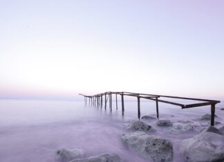 Jakie poglądy miał Platon?