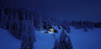 Co to jest cel działania?