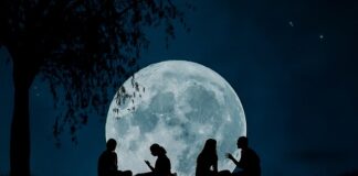 Jak zrobić Forecast?