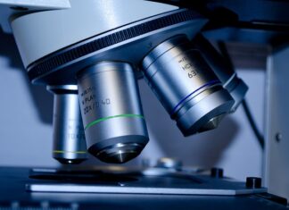 Gdzie studiować Antropologie?