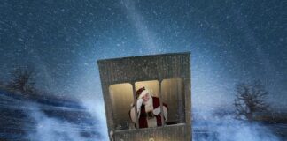 Czy urząd skarbowy może ścigać za granicą?