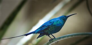 Czy w 2023 roku mogę wystawiać faktury ręcznie?