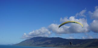 Jak obliczyć skuteczność reklamy?