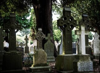 Co zamiast Good Night?