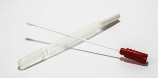 Jak pobrać Adobe Animate?