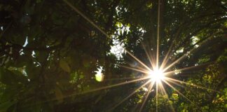 Jaki program do efektów specjalnych?