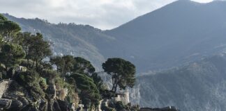 Ile kosztuje godzina pracy biegłego rewidenta?