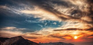 O której godzinie najlepiej wysyłać CV?