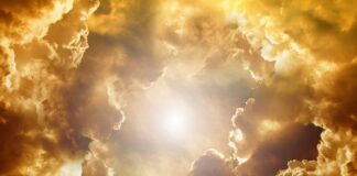 Jaki portal jest najbardziej wiarygodny?