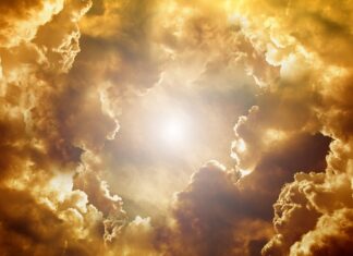 Jaki portal jest najbardziej wiarygodny?