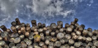 Czy bezpieczne jest logowanie na konto bankowe przez telefon?