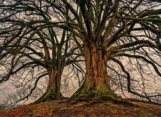 Jak uniknąć podwójnego opodatkowania pracując za granicą?