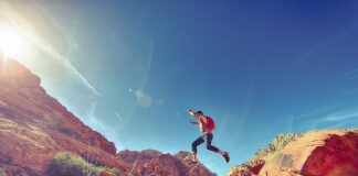 Kogo obowiązują Krajowe Ramy Interoperacyjności?