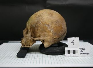 Czym zajmuje się Antropologia sportowa?