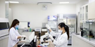 Co to są procedury ISO?