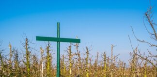 Czy musi być regulamin pracy zdalnej?